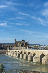 Obraz premium Roman bridge in Cordoba, Andalusia, southern Spain.