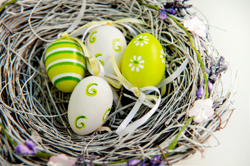 Easter egg nest on a white background