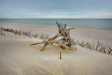 Morze Bałtyckie, plaża - obrazy, fototapety, plakaty