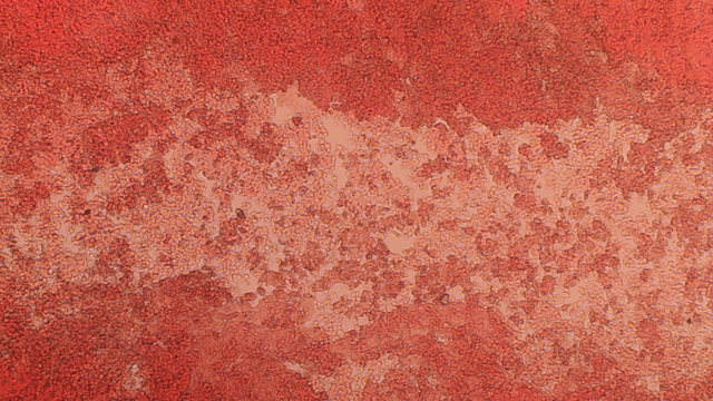 Blood Cell Channel 100x