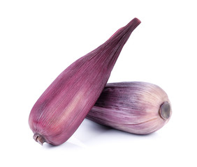 Corn on white background