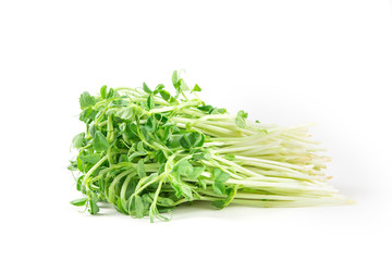 closeup green pea sprout  on white background