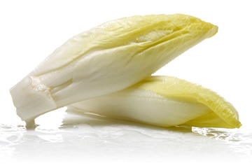 Endive Group