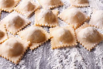 uncooked ravioli with flour on the table. horizontal