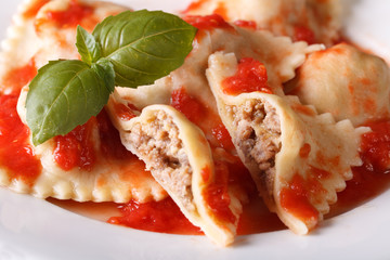 Ravioli stuffed with meat in tomato sauce, horizontal