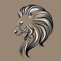 Fototapeta premium Lion head illustration