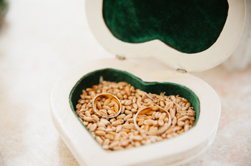 beautiful Wedding rings for groom and bride