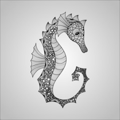 Vector Seahorse © alexmakarova