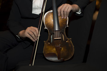 violin musician