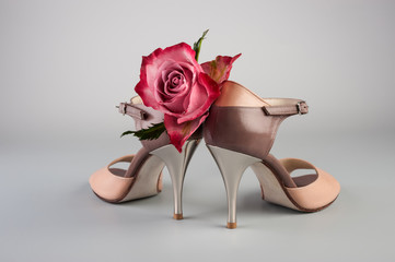 Argentine tango shoes with a rose - obrazy, fototapety, plakaty