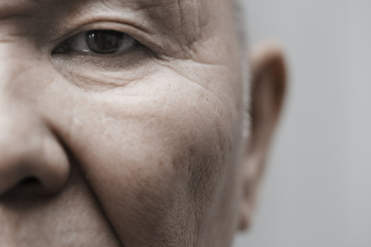 「Anility」の画像 - 428 件の Stock 写真、ベクターおよびビデオ | Adobe Stock