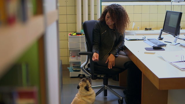 Businesswoman petting dog
