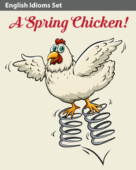 English idiom showing a spring chicken