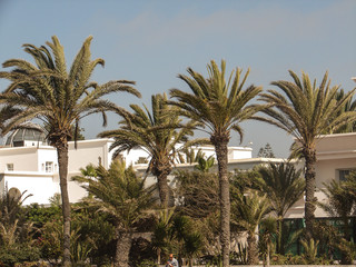 Fototapeta na wymiar architecture agadir maroc