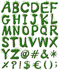 Capital letters of the alphabet in green color