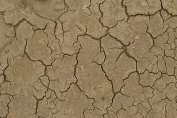 Toprak ve Çölleşme