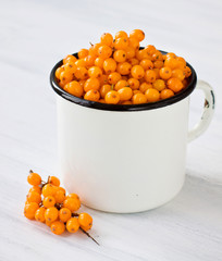 Sea buckthorn