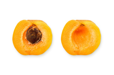 Apricot