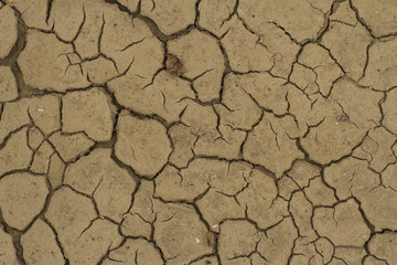 Fototapeta premium Afrika