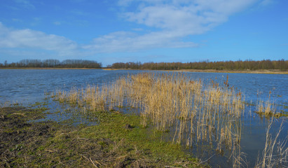 The shore of a lake under a blue sky in winter