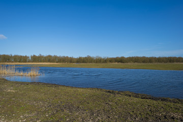 The shore of a lake under a blue sky in winter