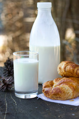Milk and croissants