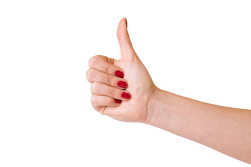 Female hands over white background