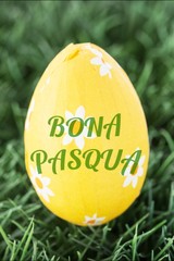 Composite image of bona pascua