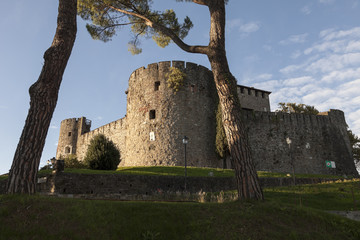 Castello di Gorizia fra gli alberi