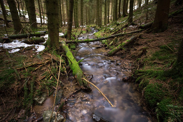 small river in a cold winter forest