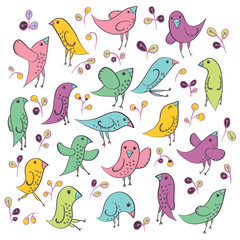 Fototapeta premium Set of cute birds