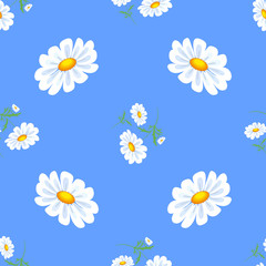Obraz premium White daisies.