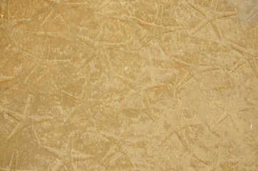 Ancient Egyptian ceiling with stars