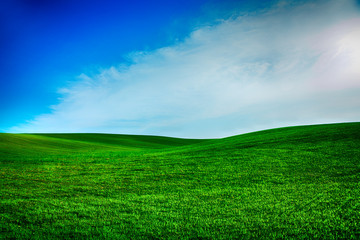 Beatiful morning green field with blue heaven