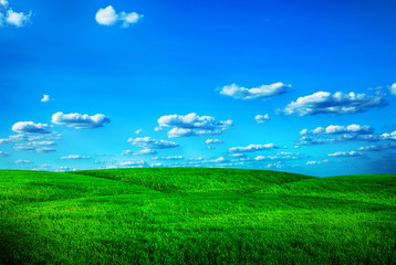 Fototapeta na wymiar Beautiful spring field with the blue sky