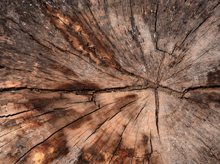 wood old broken background texture .