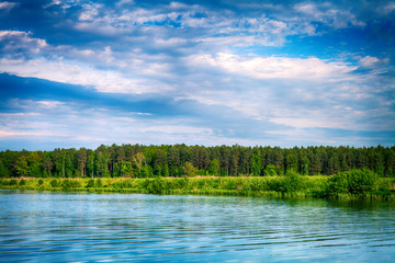 Picturesque forest and the river