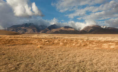Altai foothill steppes