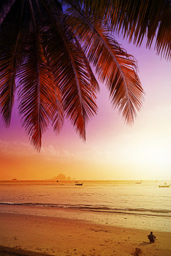 Tropical beach and palm tree leaves at sunset.