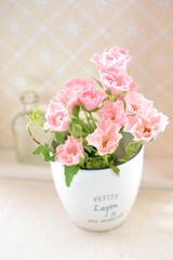 ピンクのスプレーバラ