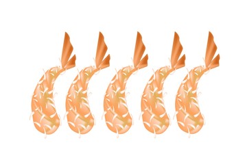 Ebi Tempura or Fried Shrimp on White Background