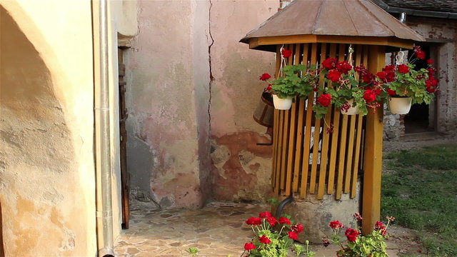 Flower Pots Swinging