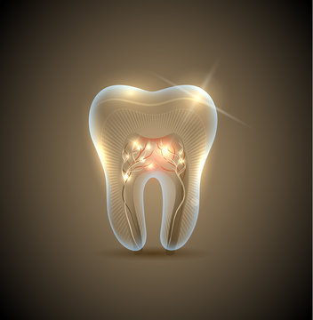 Beautiful golden transparent tooth with roots illustration