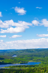 Fototapeta premium Norway forest and lakes vertical