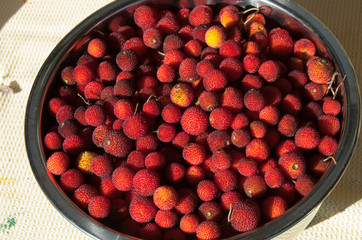 Basket full of strawberry tree (Arbutus unedo) mature fruits.