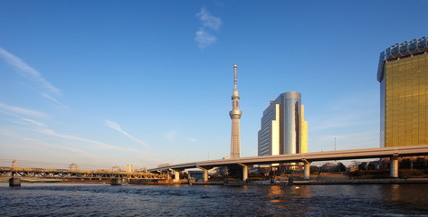 Obraz premium Tokyo sky tree and Sumida river at Tokyo city .
