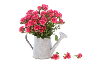 Bouquet of roses in a watering can