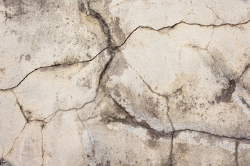 Obraz premium wall background, texture