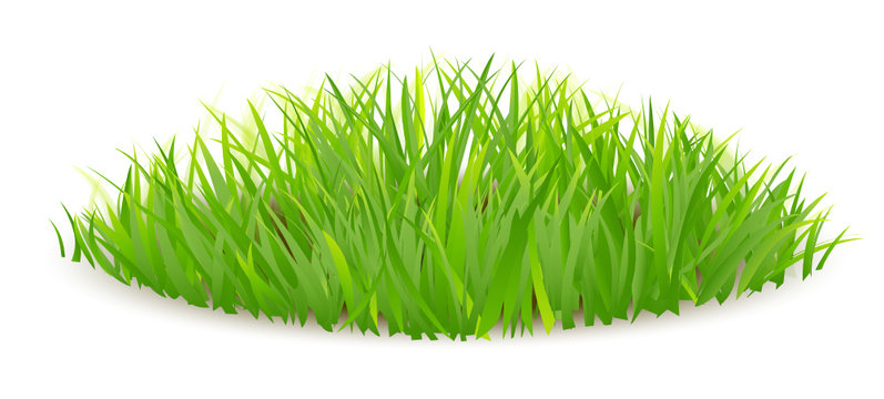 Runde Grasfl&auml;che