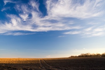 Plowed field and sky